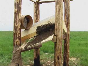 Из-за рамочного пчеловодства невозможно содержать пчёл рядом в колодах
