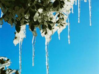 5-й всебеларусский Форум создателей родовых поместий (Минск, 27 февраля 2011 года)