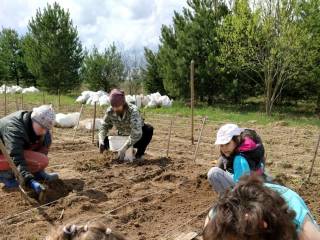 В поселении Ковчег появился новый проект - Школьный огород
