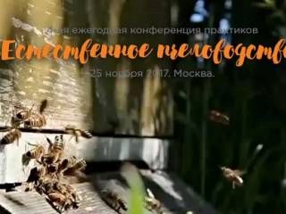 Отзыв о прошедшей 4-ой конференции по естественному пчеловодству (25 ноября 2017 г., Москва)