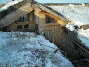 Лисья нора. Единомышленники делятся опытом