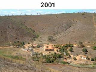 Фото. Семейная пара из Бразилии решили восстановить свой пустынный участок земли в 600 гектаров