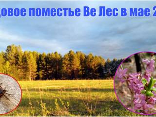 Видео. Родовое поместье Ве Лес на Урале в мае 2019