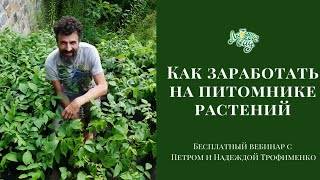 Видео. Как заработать на питомнике растений